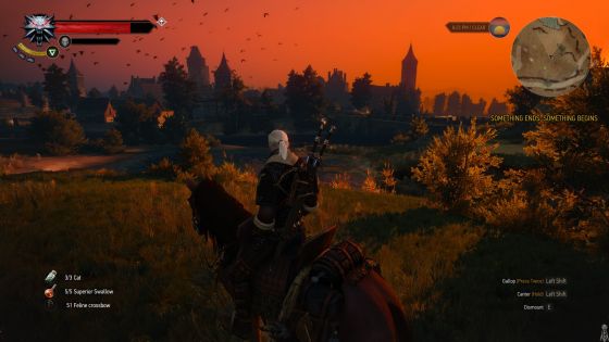 Geralt and Roach enjoying the view