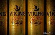 viking_beer1.jpg